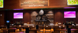 Molly O'Sheas - Wilkes-Barre