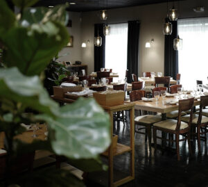 NAPA Thai Asian Cuisine - Colleyville