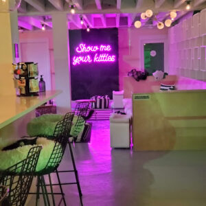 NEKO Cat Cafe Bellingham - Bellingham