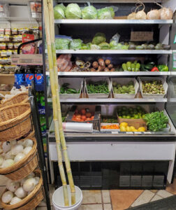 Netos Market & Bakery - Bellingham
