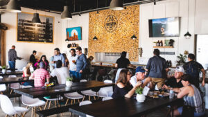 Northern Pine Brewing - Oceanside