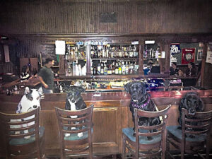 O'Donnell's Pub - Southern Pines