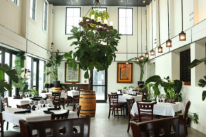 Oli's Fashion Cuisine - Boca Raton