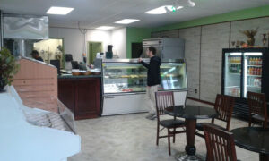 Olive Tree - Milford