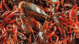 On To The Next Seafood - Harahan
