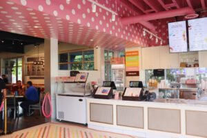 Original Rainbow Cone - Darien