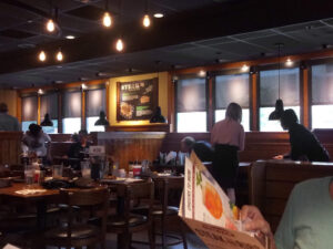 Outback Steakhouse - Burlington