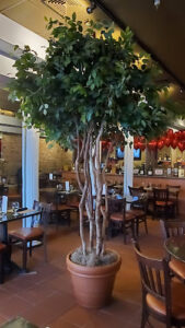 Pas-Tina's - Hartsdale