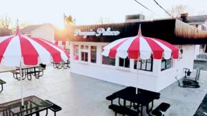 Penguin Palace - Maumee