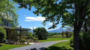 Piney Hill Bed & Breakfast and Cottages - Luray
