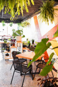 Propagate Social House - Apopka