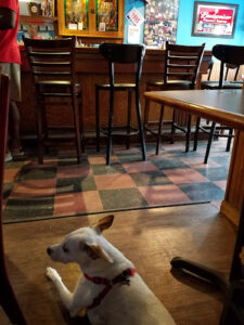 Rainbow Bar & Grill - Peekskill