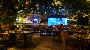 Rainforest Cafe - Sunrise