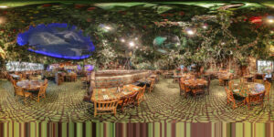 Rainforest Cafe - Gurnee