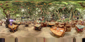 Rainforest Cafe - Katy