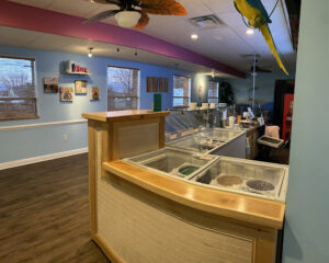 Sam’s Snoball Paradise LLC - Johnson City