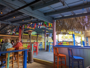 Shaka - Tarpon Springs