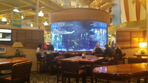 Shark Pit Bar & Grill - Cocoa Beach