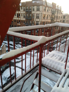 Spring Garden - Bronx