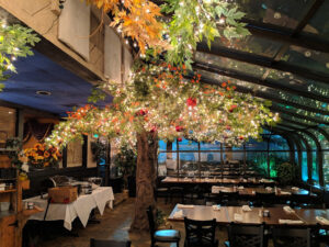 Stella Notte - Ellicott City