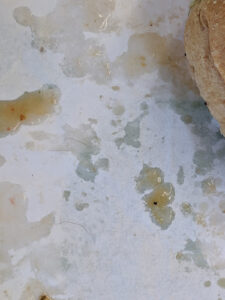 Subway - Malvern