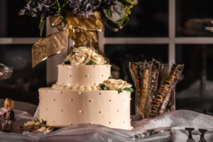 THE CAKE LADY - North Canton