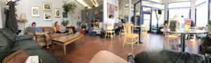 Tabby Cat Cafe - Santa Cruz