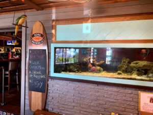 Taco City - Cocoa Beach