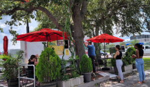 Taquería El Nopal - Tampa