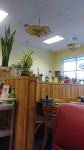Teriyaki Town - Puyallup