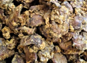 The Gizzards & Livers Store - Wilson