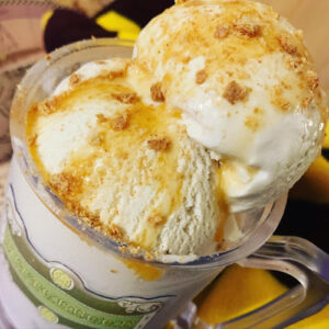 The Ice Cream Barr - Brooksville