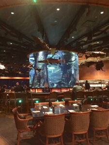The Lookout at the Pyramid - Memphis