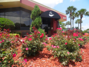 The Melting Pot - Longwood