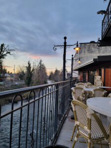 The Noble Fox - Silverton