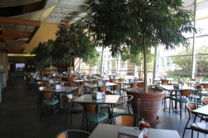 The Patio - Orland Park - Orland Park