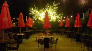 The Treehouse - Cleveland