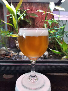 Three Frogs Beer Company - Santee