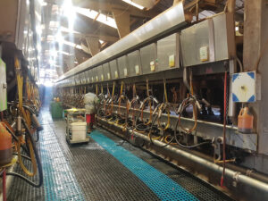 Top O'The Morn Farms-Drive - Tulare