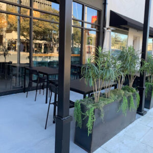 Urban Salt Kitchen & Bar - San Angelo