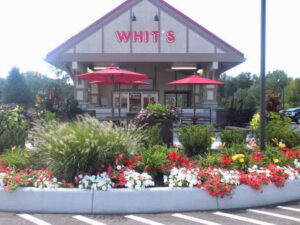 Whit's Frozen Custard - Gahanna