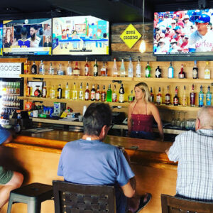 Wild Goose - Wilmington