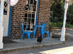 Yous Guys Sandwich Shop - Charleston