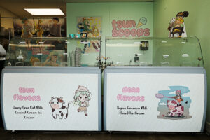 tsun scoops - Garden Grove