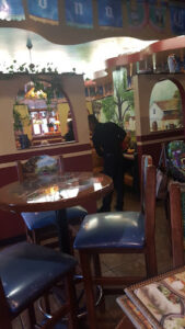 Fiesta Cafe Bar - Rochester