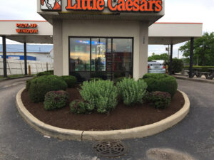 Little Caesars Pizza - Waukegan