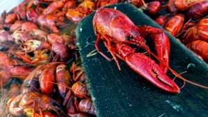 The LandShark Crawfish - Hattiesburg