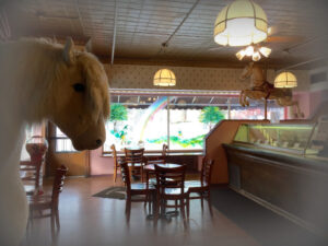 The Plush Horse - You Deserve A Treat! - Palos Park